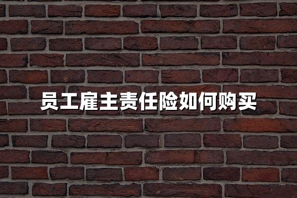 员工雇主责任险如何购买