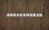 请司机开车怎样买雇主险